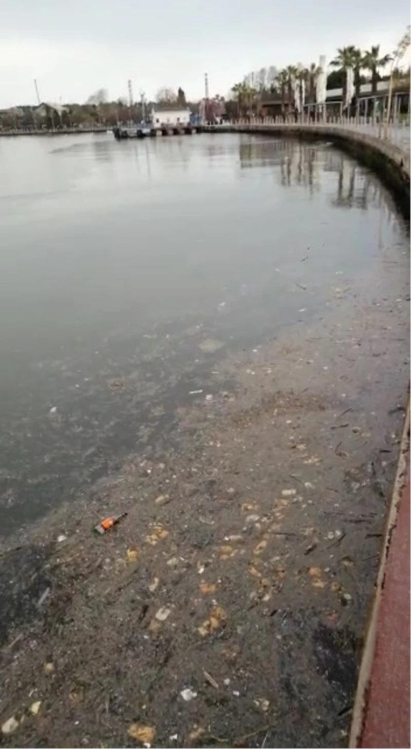 Kocaeli körfezi çöplüğe döndü
