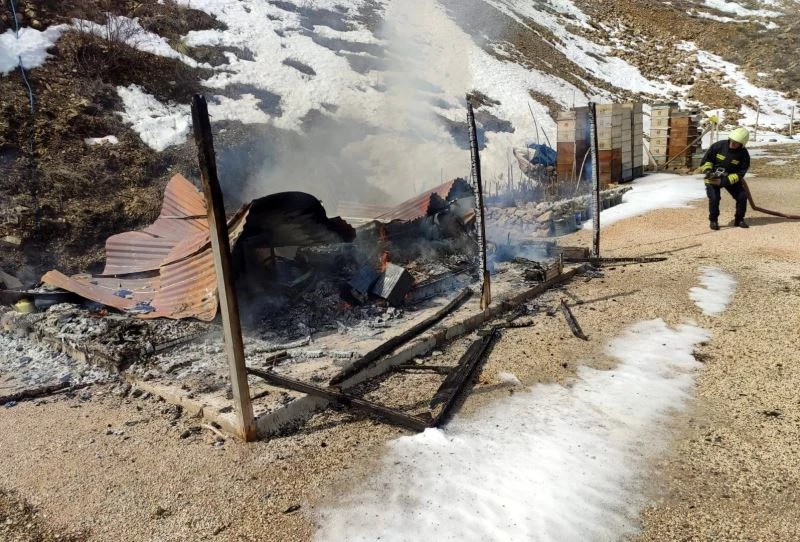 Arıcı barakası yandı
