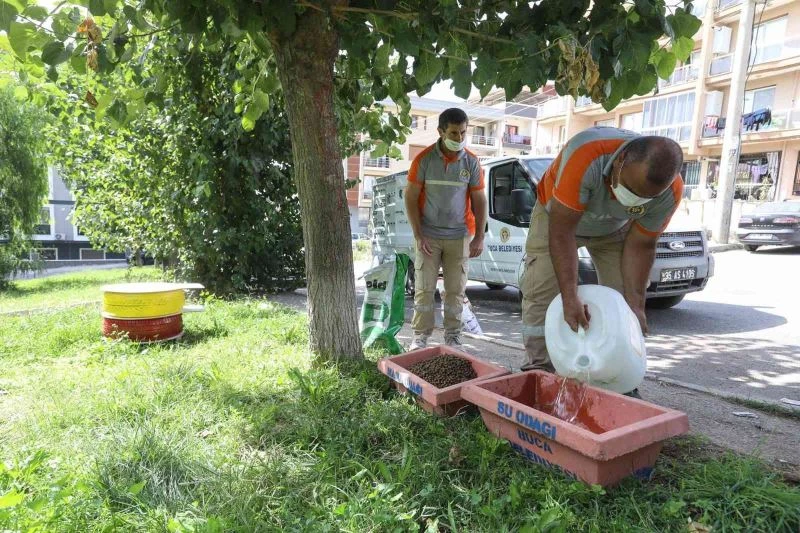 Buca Belediyesi 3 yılda 28 bin sokak hayvanına hizmet verdi
