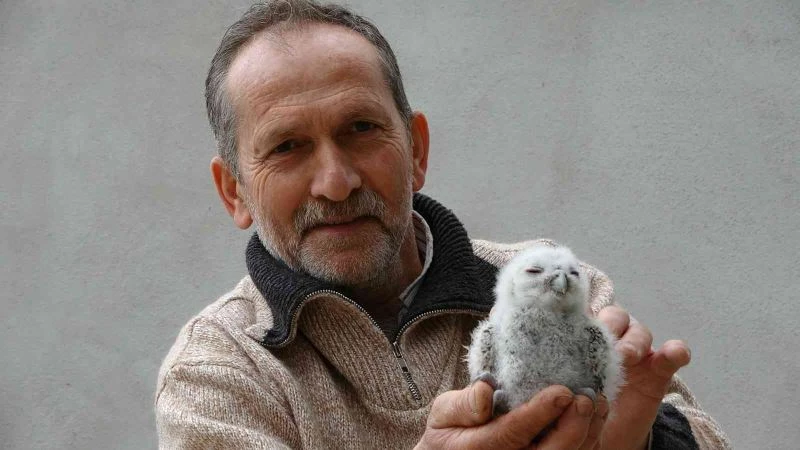 Serendisine yavrulayan baykuşla dost oldu
