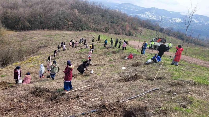 Öğrenciler kardeşlik ormanına 100 fidan dikti

