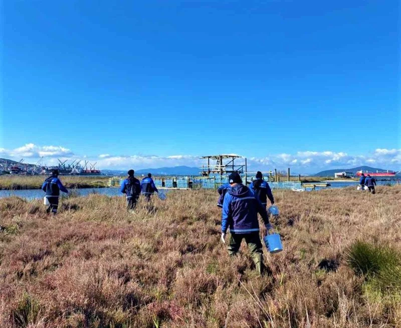 Milas’ta vektörle mücadele
