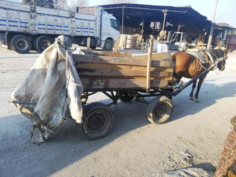 Manisa’da at arabalı hırsızlar yakalandı
