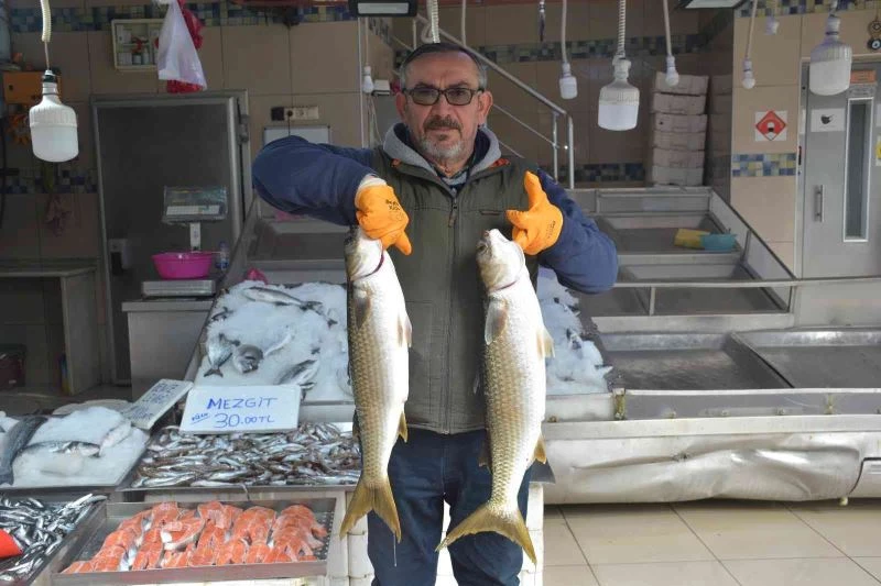 “Tokmak kafa” ilgi gördü
