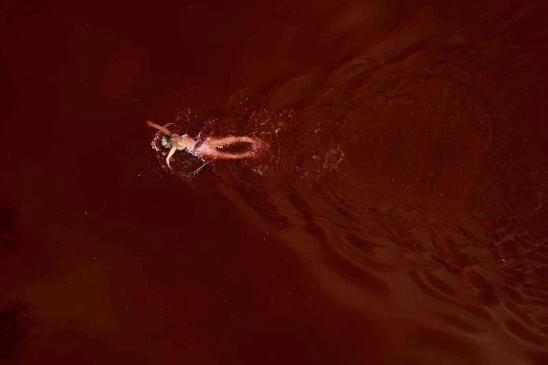 Litvanyalı yüzücü Ruta Meilutyte 