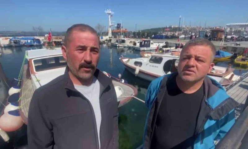 Çanakkale Boğazı’nda yaklaşık 300 kilogram ağırlığında köpek balığı yakaladılar
