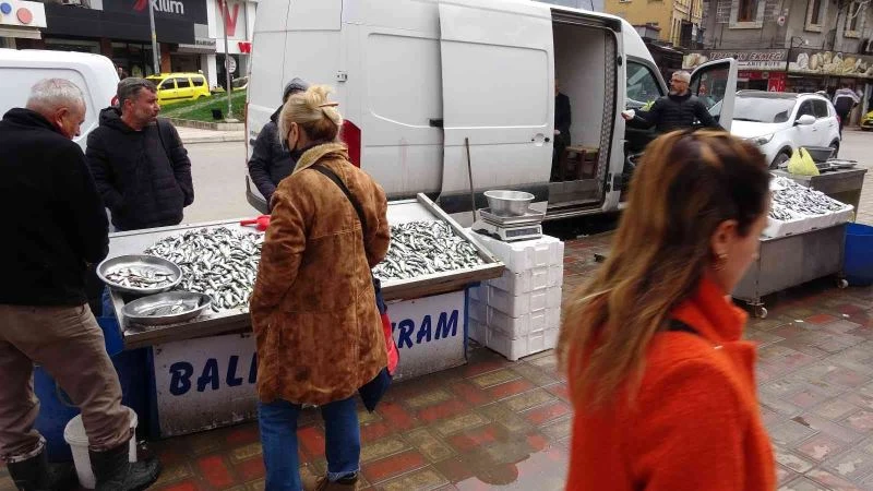 İstavrit bollaştı fiyatı yarı yarıya düştü
