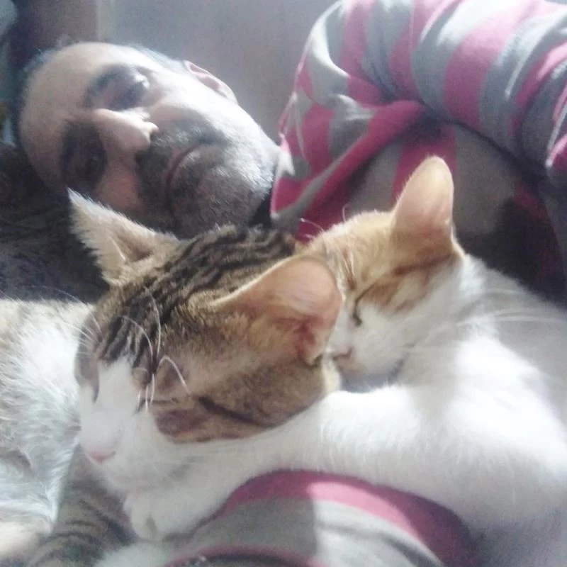 Kimsesiz yazar sokak hayvanları için kitaplarına destek bekliyor
