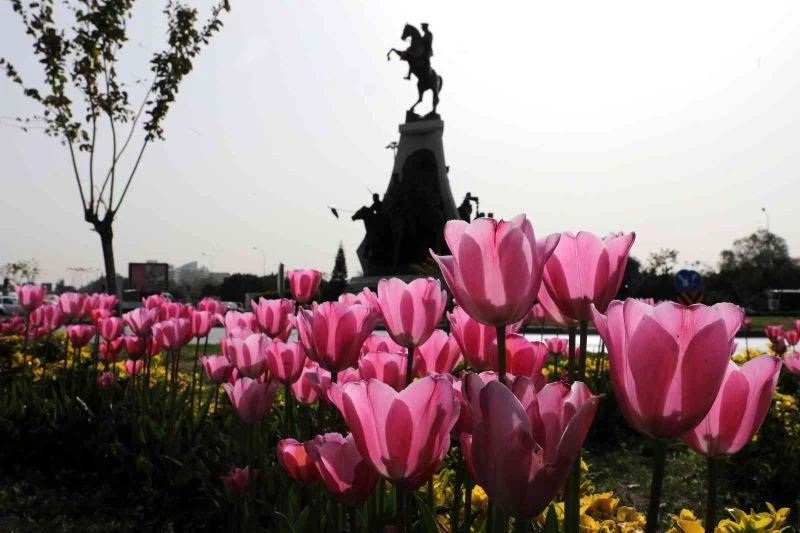 Baharın habercisi laleler kenti süslüyor
