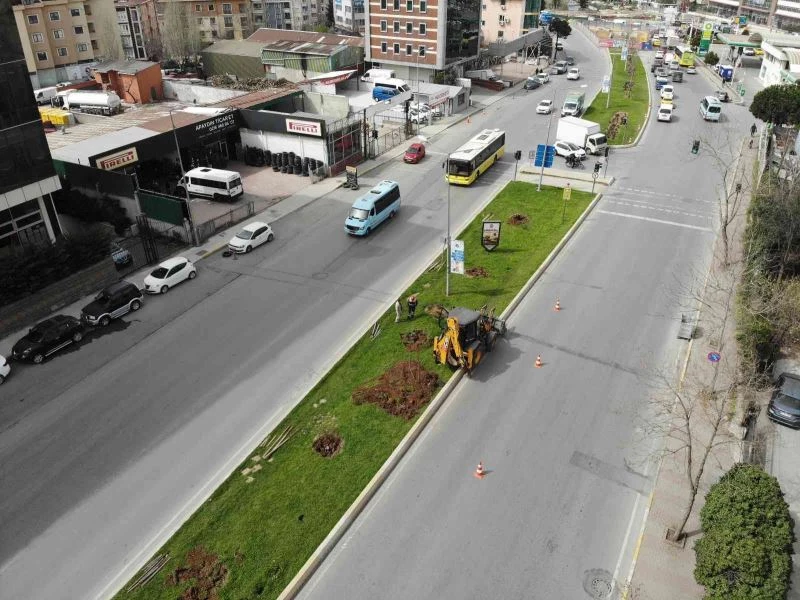 Ataşehir’de İBB ekipleri tarafından ağaçlar iş makineleriyle güpegündüz söküldü

