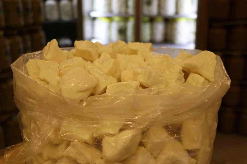 Avrupa’nın peyniri Gaziantep’ten
