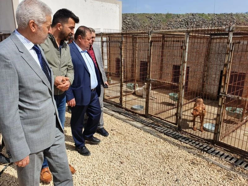 Başkan Ramazan, hayvan barınağında incelemelerde bulundu
