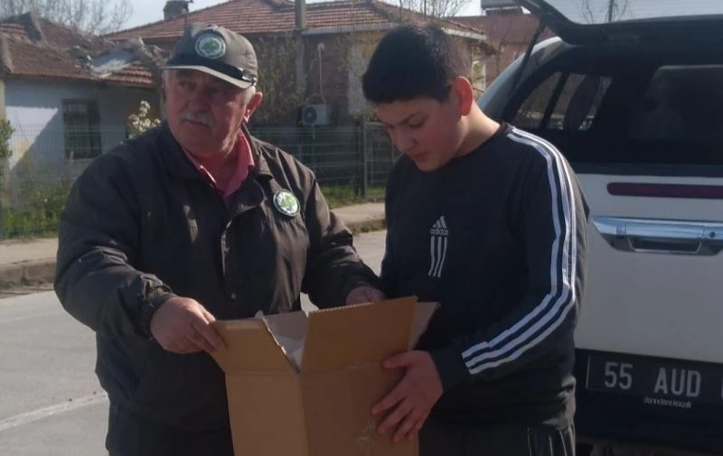 Yaralı halde bulduğu sincabı görevlilere teslim etti
