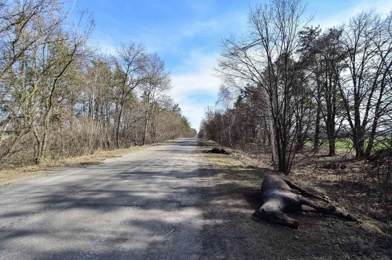 Borodyanka’da enkaz çalışmalarında 26 kişinin cesedine ulaşıldı
