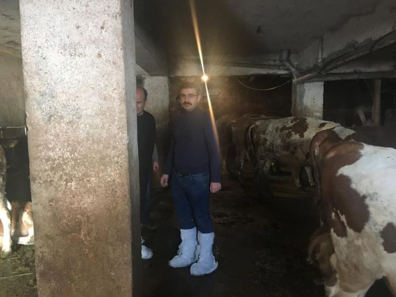 Aşkale’de hayvan hastalıkları inceleniyor
