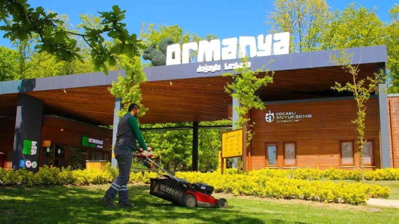 Ormanya bayrama hazır
