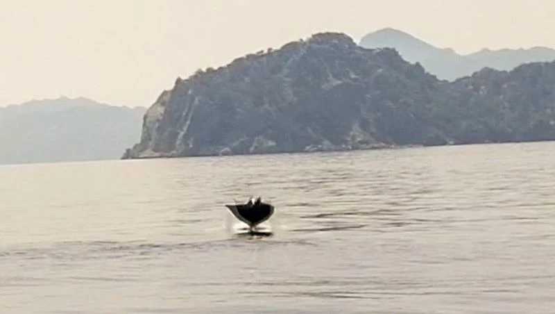 Marmaris açıklarında ’Hayalet Vatoz’ sürprizi
