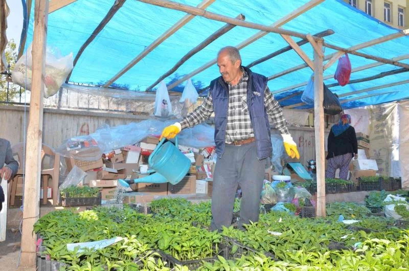 Fideler görücüye çıktı
