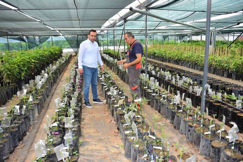 MATSO Başkanı Güngör: “İhracat yapan firmalarımızı destekliyoruz”
