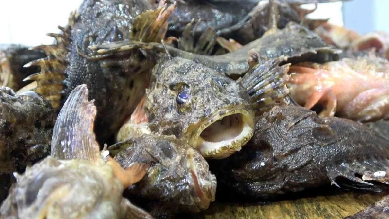 Karadeniz’in ‘çarpanı’ tezgahta kendini gösterdi
