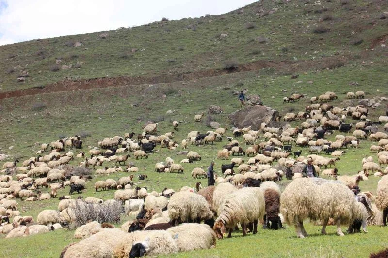 Kar ve tipi nedeniyle mahsur kalan göçerler kurtarıldı
