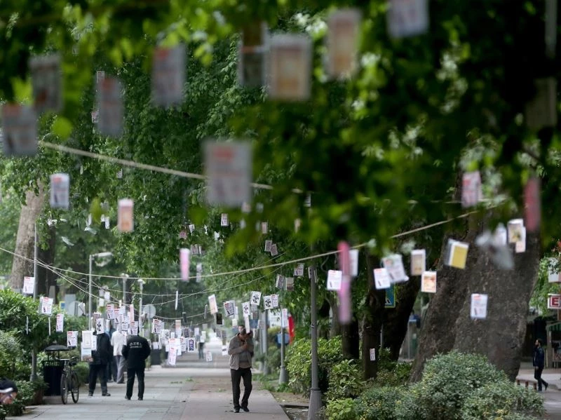 Cumhuriyet Bulvarı’nda ağaçlar kitaplarla süslenecek
