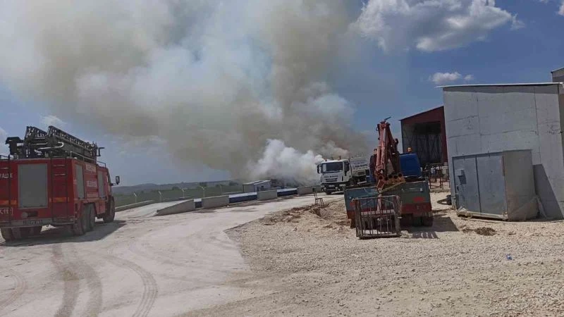 Keşan’daki Biyokütle Enerji Santrali’nde korkutan yangın
