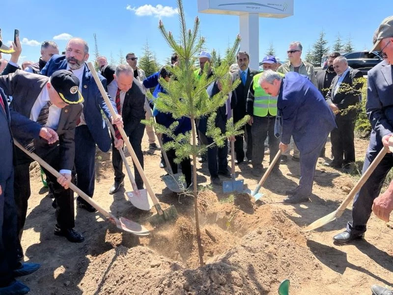 Muhsin Yazıcıoğlu Hatıra Ormanı’na bin sedir ve karaçam fidanı dikildi
