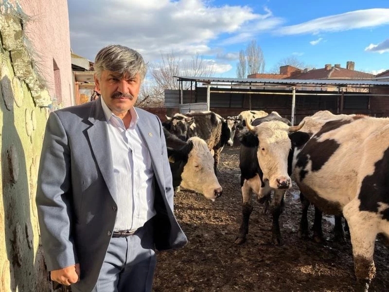 Süte gelen zamdan sonra yem fiyatları da yükseldi
