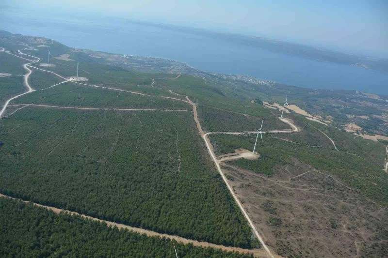 Çanakkale’de 2008 yılında küle dönen alan dikilen 2 milyondan fazla fidanla yeniden yeşillendi

