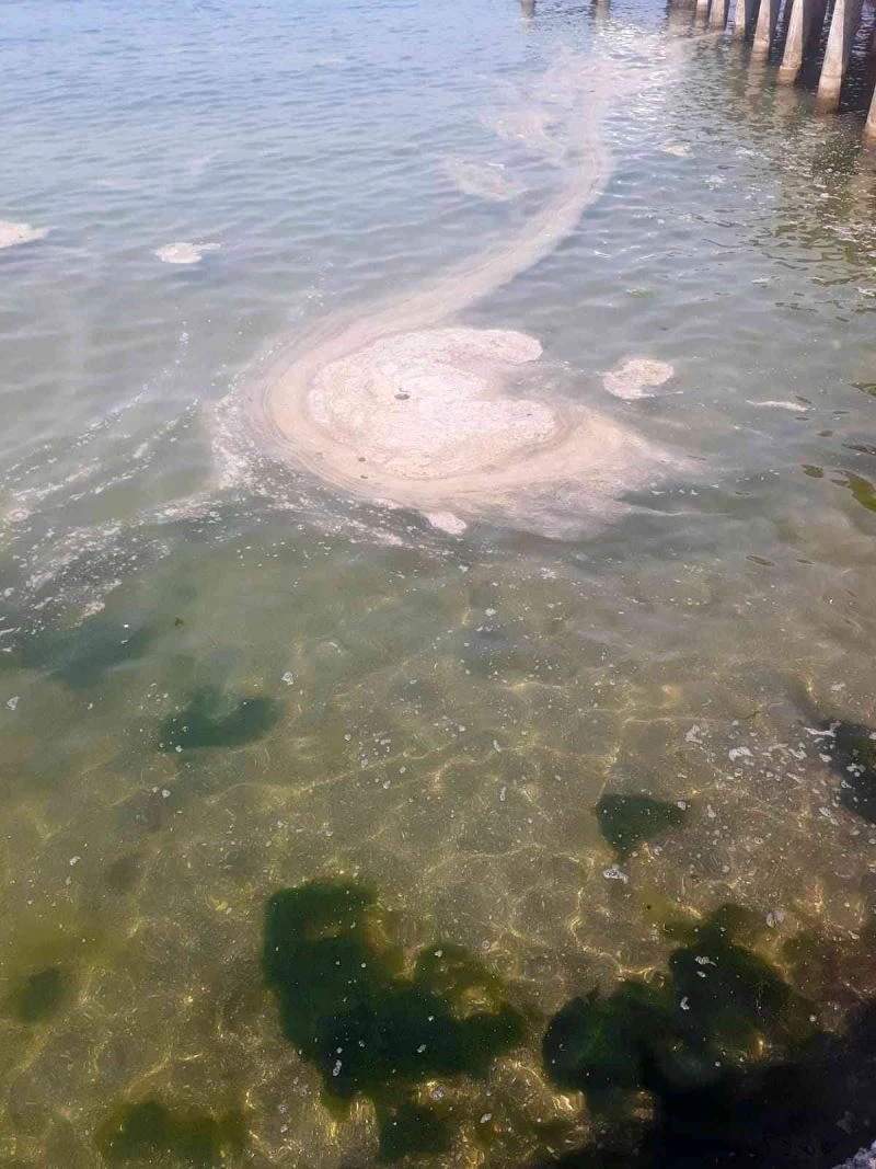 Büyükada açıklarında müsilaj benzeri kirlilik görüldü
