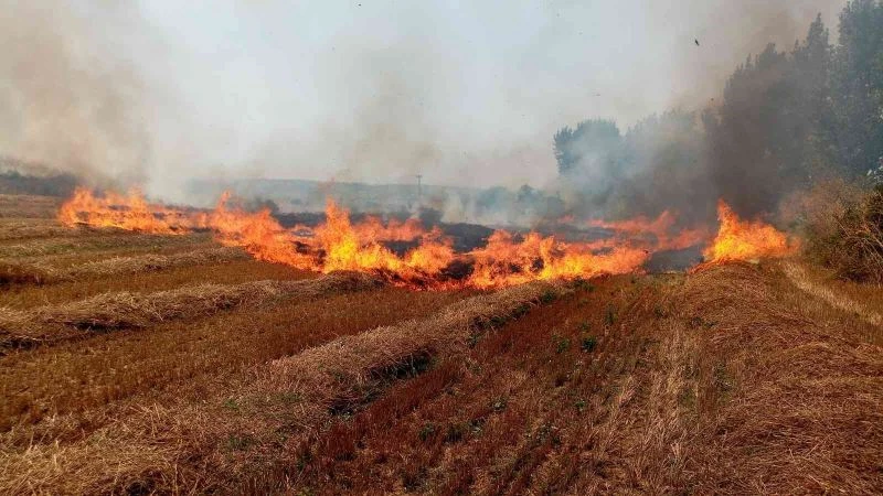 Yangın uyarıları başladı: Anız yakanlara 155 bin lira ceza
