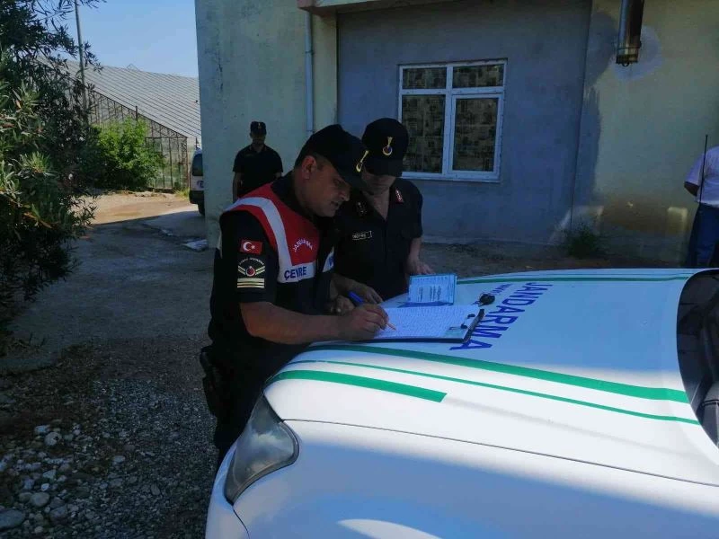 Pitbull cinsi köpeği sokakta ağızlık ve tasmasız gezdiren şahsa 14 bin TL ceza
