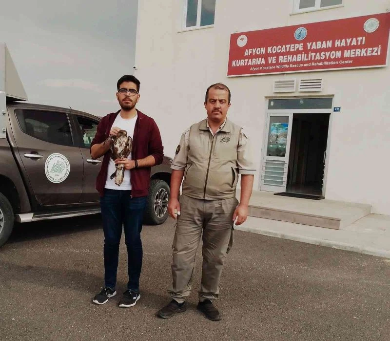 Yaralı halde bulunan sincap ve şahin tedavi altına alındı
