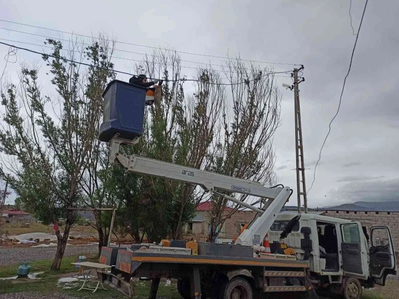 Iğdır’da elektrik tellerine takılan karga kurtarıldı
