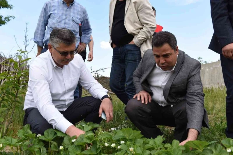 Organik köy, çok yakında Balıkesir’de
