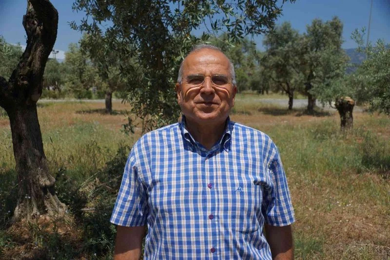 Yılanların dansı böyle görüntülendi
