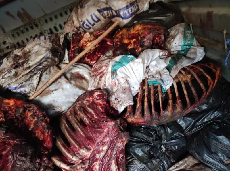 İzmir’de çürümeye yüz tutmuş 3 bin 660 kilo at eti ele geçirildi
