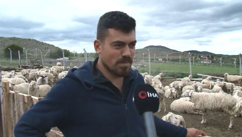 Yaklaşan Kurban Bayramı öncesi kurbanlık fiyatları konuşulmaya başladı
