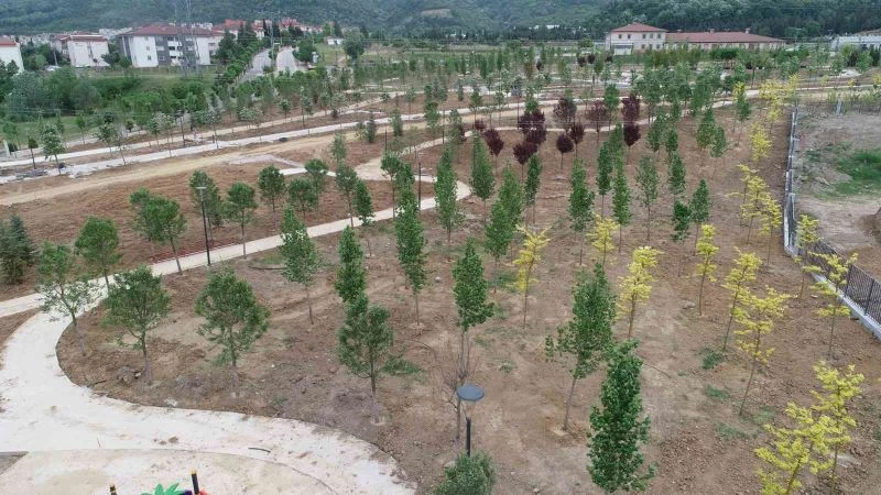 Yangının çıktığı eski enkaz döküm sahası yeşil alan dönüştü
