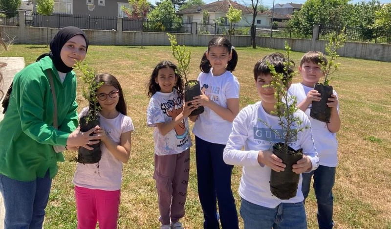 Karbon ayak izinizi azaltmak için pedal çevirdiler fidan diktiler
