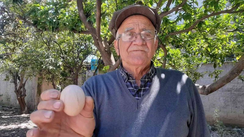 Yumurtayı göktaşı zanetti, panikledi
