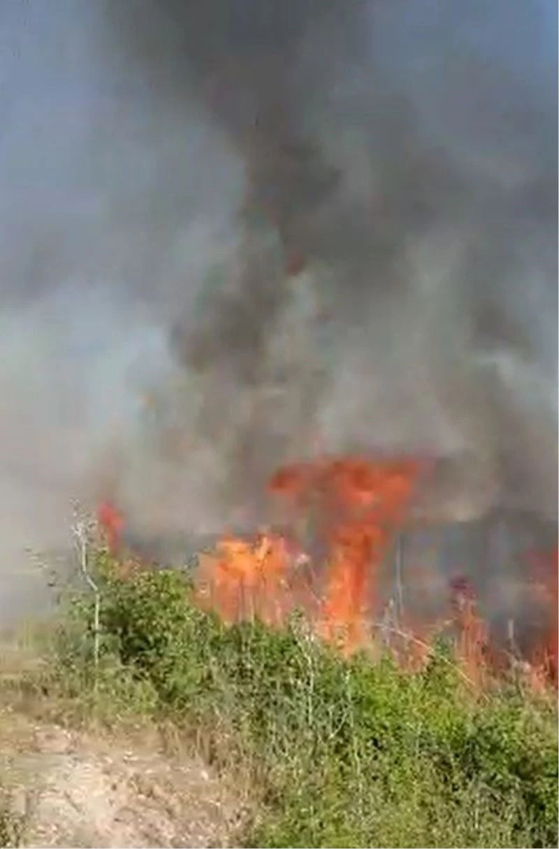 Temizlik işçisinin dikkati meyve bahçesinin yanmasını önledi
