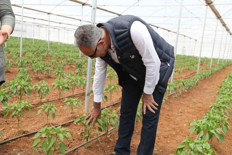 Eyyübiye seraları açılışa gün sayıyor
