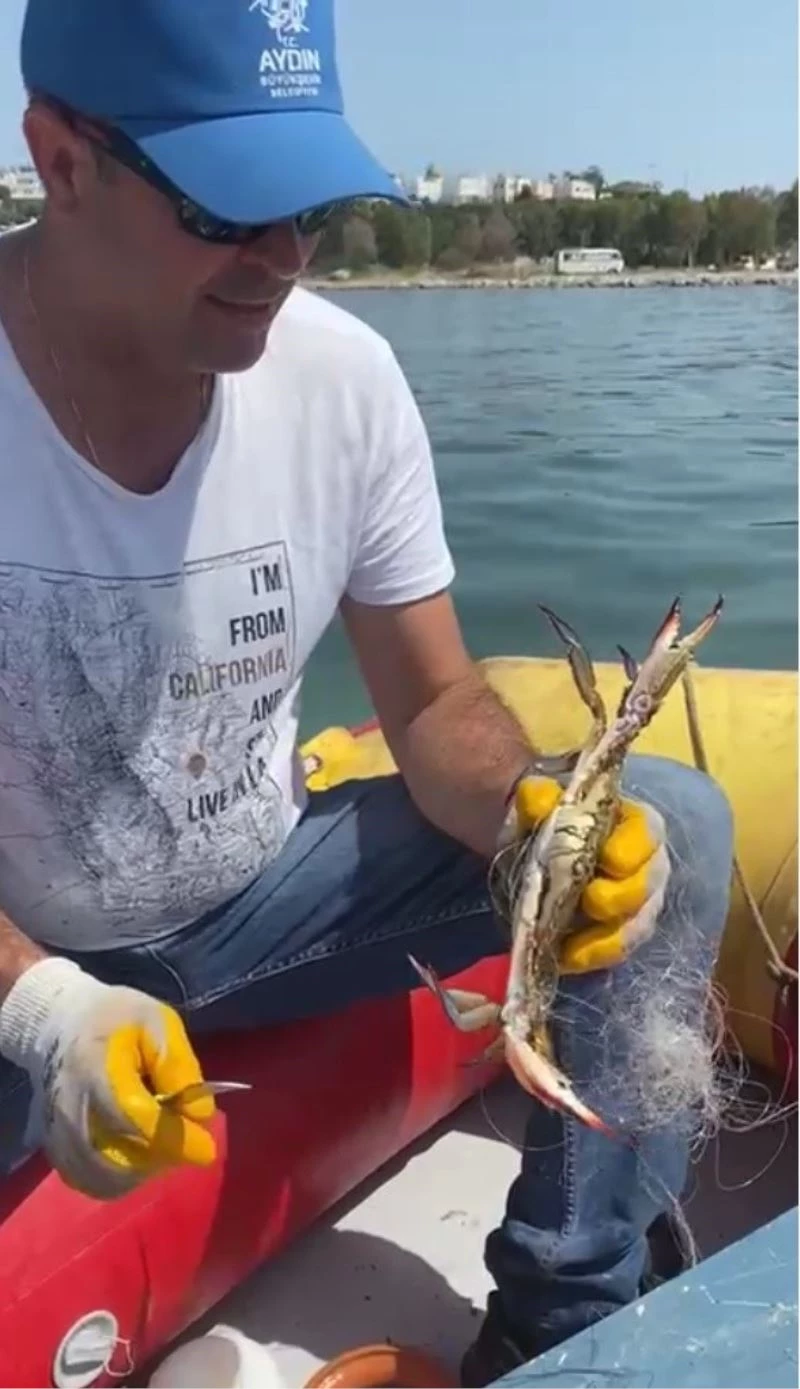 Aydın Büyükşehir Belediyesi ekipleri hayalet ağa takılan yengeci kurtardı
