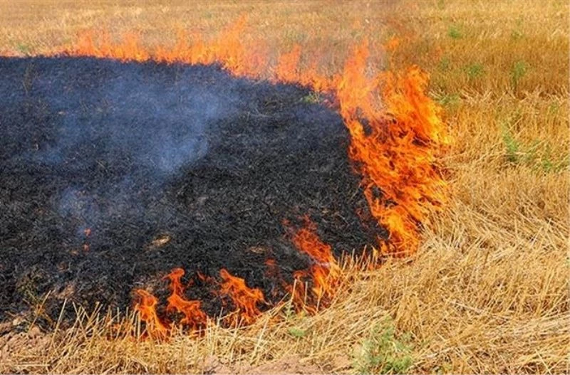 Çiftçilere ’Anız Yakmayın’ uyarısı
