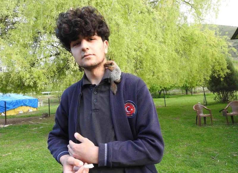 Şırıngayla beslediği sincap yavrusu yanından ayrılmıyor
