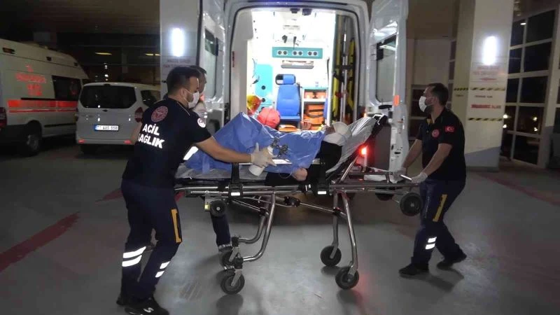 Havalar ısınınca ortaya çıktı: Gece uykudayken akrep soktu
