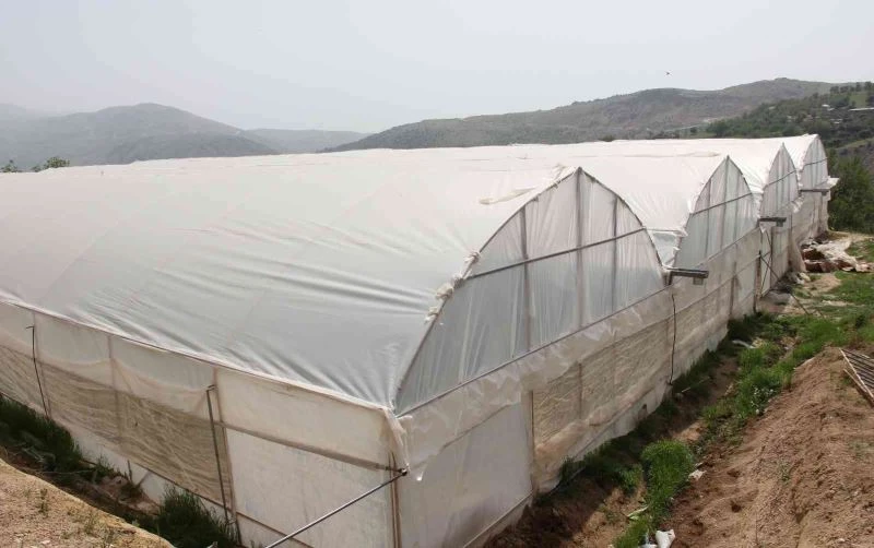 Kara kışta zarar gören seralar yeniden üretime geçti
