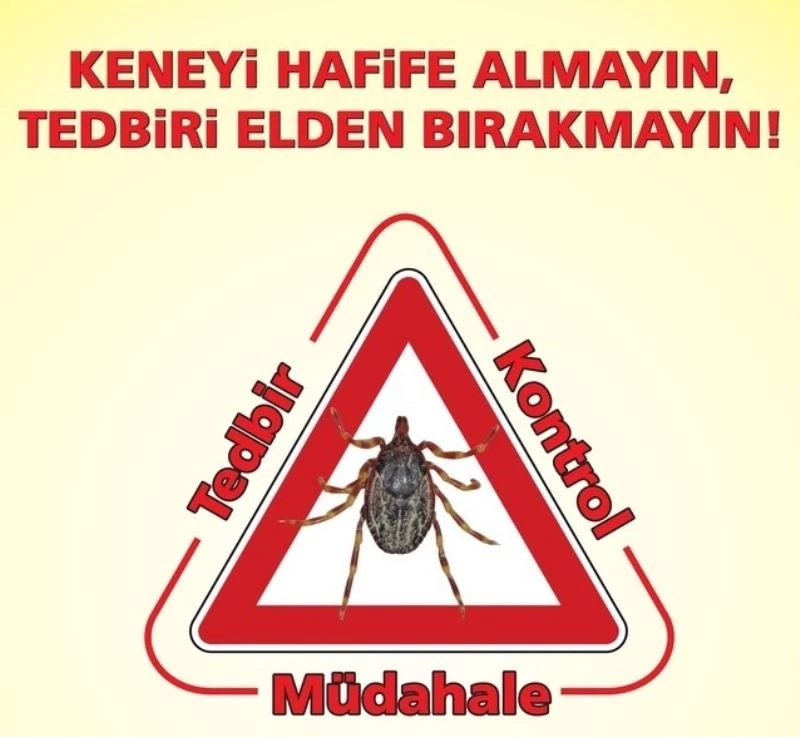 Doğada bulunurken kene popülâsyonuna dikkat!
